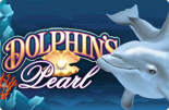 Dolphins pearl