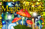 Magic Forest Magic Forest