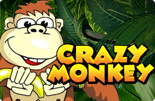 Crazy monkey